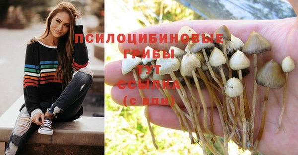 кокс Волоколамск