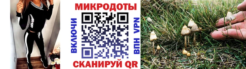 Галлюциногенные грибы GOLDEN TEACHER  даркнет сайт  Янаул 